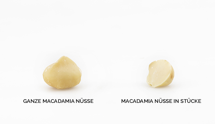 macadamia nüsse